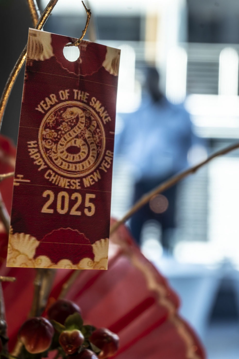 ECWC march 2025-2a
