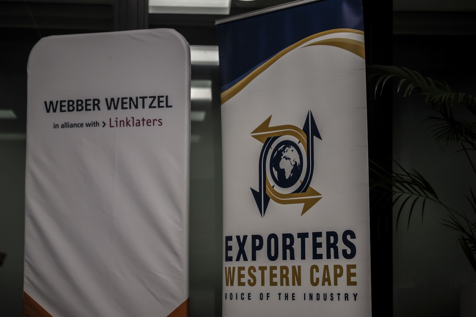 ECWC june 2025-38